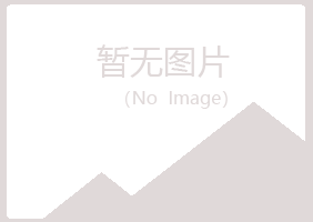 安阳初夏化学有限公司